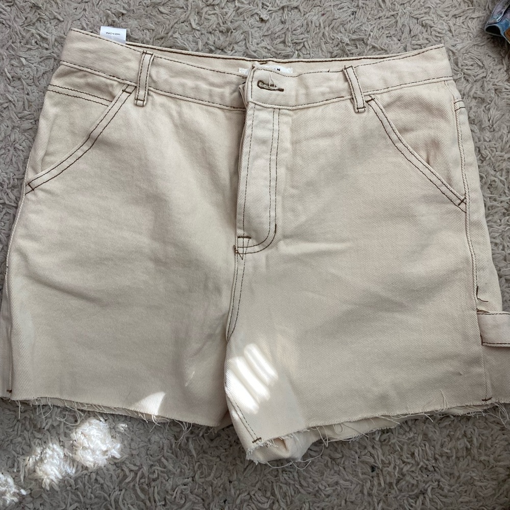 pacsun shorts never worn!